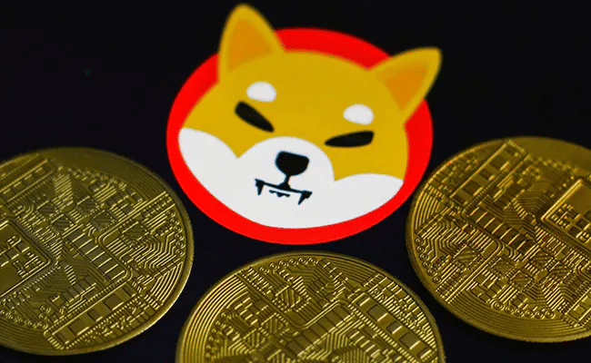 shib coin ticker