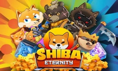 Shiba Eternity Game