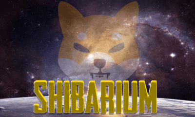 Shibarium Live