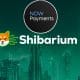 Shibarium NowPayments