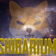 Shibarium Mainnet