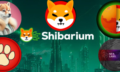 Shibarium News