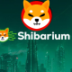 Shibarium News