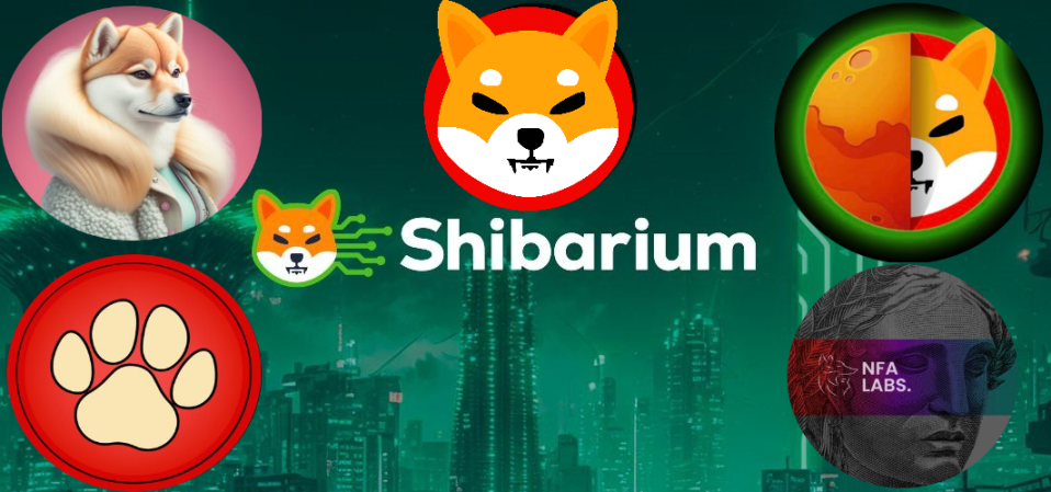 Shibarium News