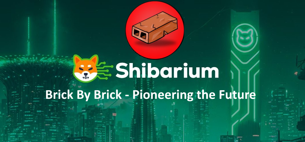 Brick by Brick SHibarium