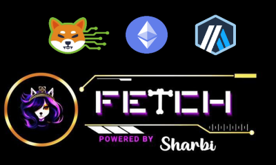 Fetch Sharbi Bridge