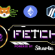 Fetch Sharbi Bridge